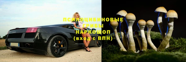 дживик Арсеньев