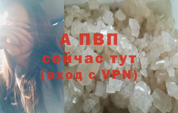 дживик Арсеньев