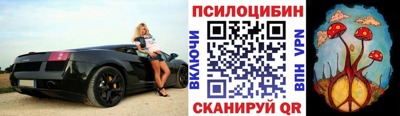 купить наркотики цена  shop какой сайт  Галлюциногенные грибы Psilocybe  Куса 